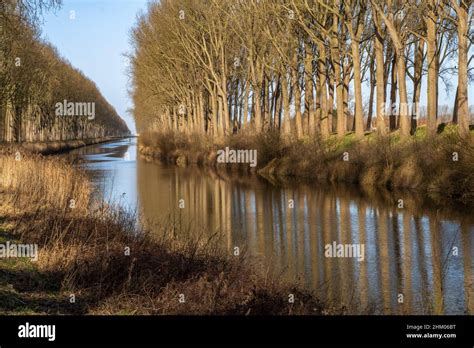 weer in damme|Damme, West Flanders, Belgium Weather Forecast 